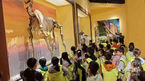 参观西大博物馆