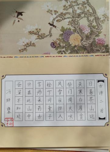 JY0049
