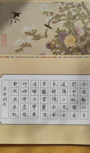 JY0061