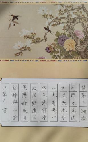 JY0066
