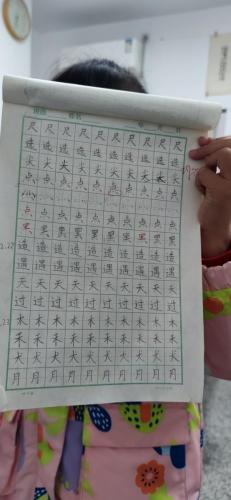 幼小衔接书法作业