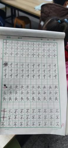 幼小衔接书法作业