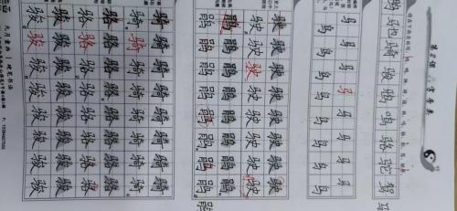 九月童画硬笔书法