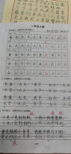 九月童画硬笔脱格训练