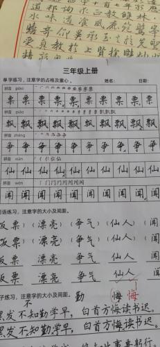 九月童画硬笔脱格训练