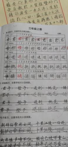 九月童画硬笔脱格训练