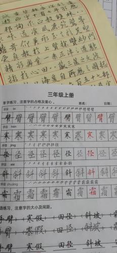 九月童画硬笔脱格训练