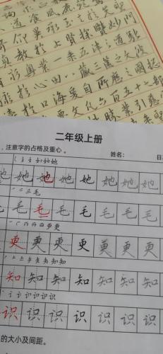 九月童画硬笔脱格训练