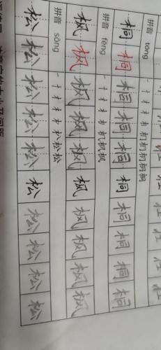 九月童画硬笔脱格训练