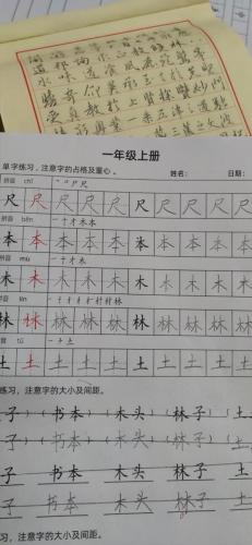 九月童画硬笔脱格训练