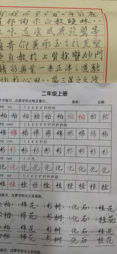 九月童画硬笔脱格训练