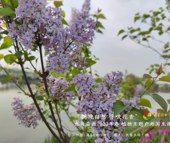 “拥抱自然，呼吸花香”——九月童画2023年春季植物主题户外写生课