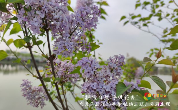 “拥抱自然,呼吸花香”——九月童画2023年春季植物主题户外写生课