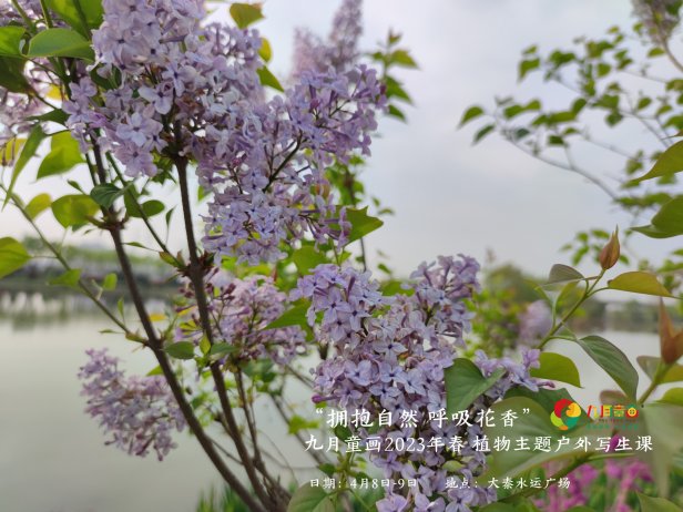 “拥抱自然，呼吸花香”——九月童画2023年春季植物主题户外写生课